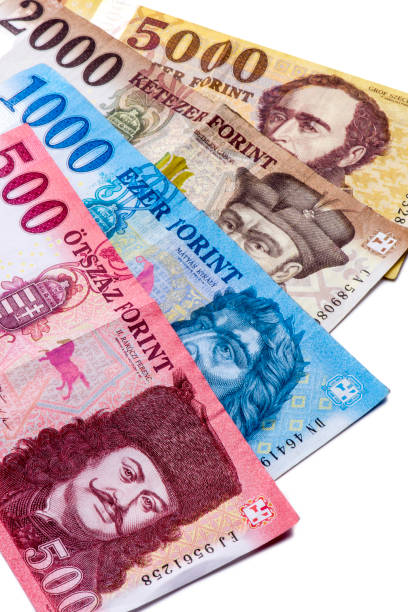 istock Hungary Forint banknotes on white background 1183929142