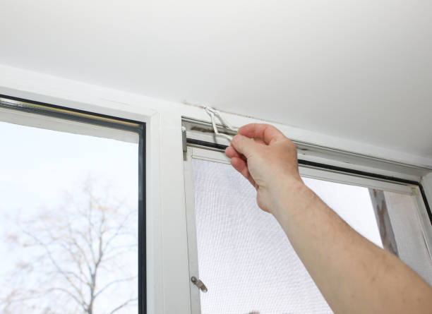 istock Man is installing the mosquito net on the window. Protection from bugs. 1183930187