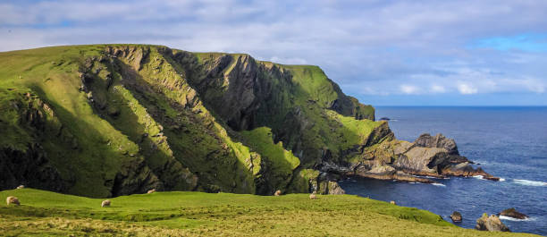 hermaness national nature reserve, szetlandy, szkocja - shetland islands zdjęcia i obrazy z banku zdjęć