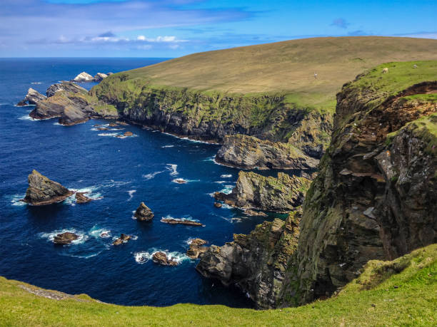 hermaness national nature reserve, szetlandy, szkocja - shetland islands zdjęcia i obrazy z banku zdjęć
