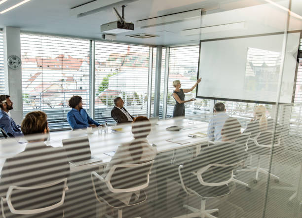 istock Mature CEO giving a business presentation through projection screen in a board room. 1183933469
