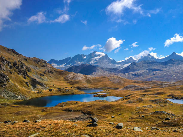 nivolet pass, nationalpark gran paradiso - italien - valle daosta stock-fotos und bilder