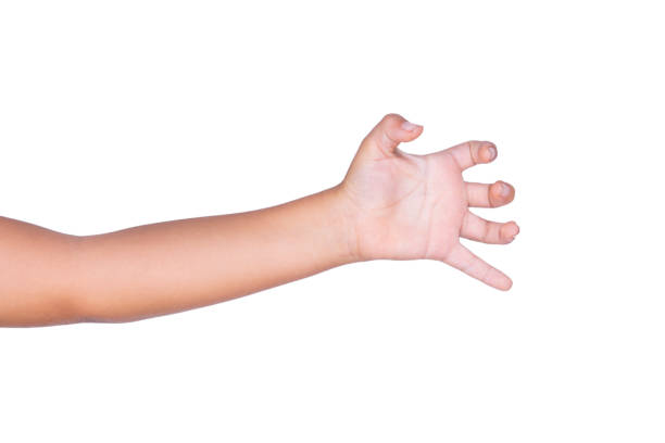 Directly above a male hand on the green color background with copy space