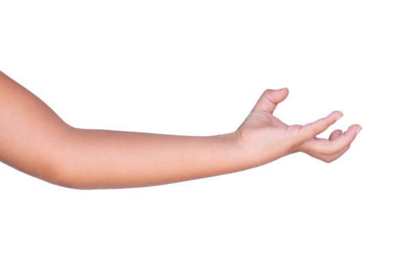 Cute Little boy hand holding something on white background.