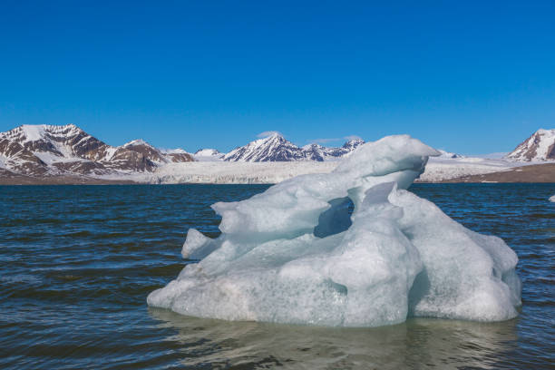 istock swimming ice floe from Esmarkbreen glacier in Svalbard, blue sky 1183936780