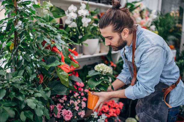 istock Man working in the flower shop 1183936904