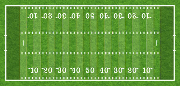 미식축구장 - turf white green horizontal stock illustrations