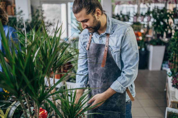 istock Male florist working 1183939963