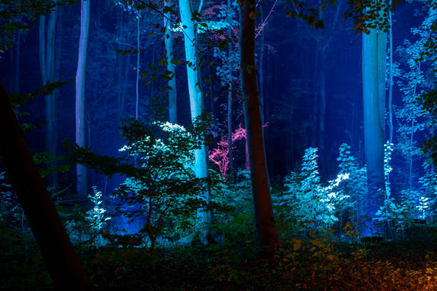 istock surreal scary forest dark background 1183941905