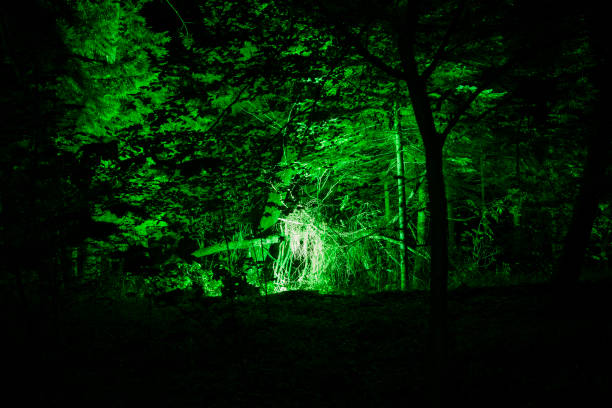istock Fantasy Fairy Forest Magic Dark Night Mystic. 1183941910