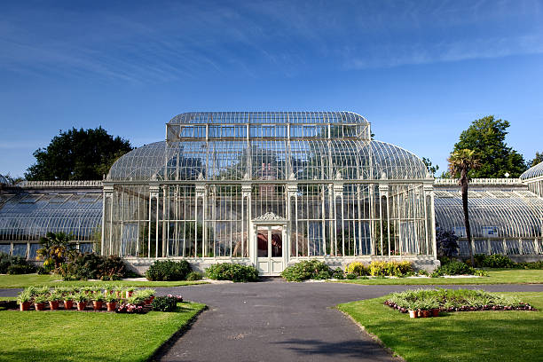 istock Botanical garden in Dublin 118394199