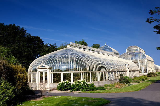 istock Botanical garden in Dublin 118394202
