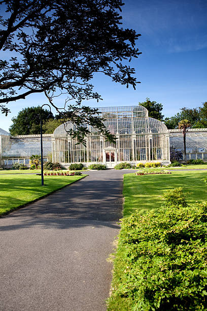istock Botanical garden in Dublin 118394208