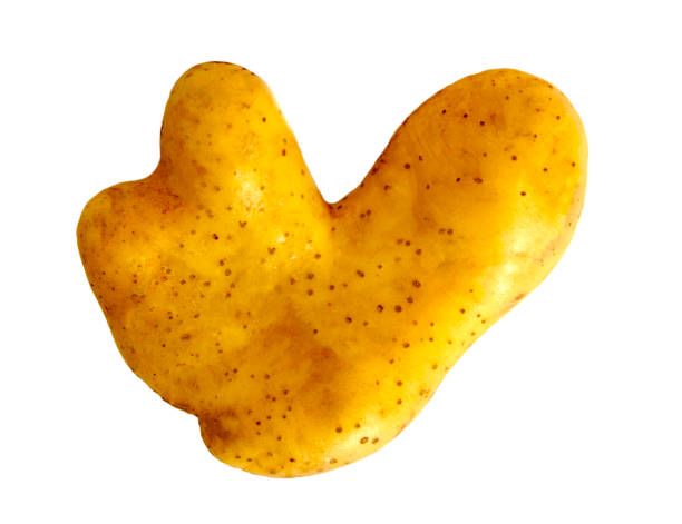 brzydki ziemniak w kształcie serca na białym tle - heart shape raw potato food individuality zdjęcia i obrazy z banku zdjęć