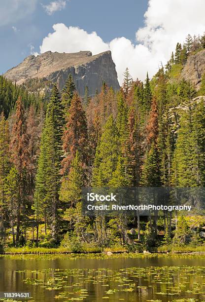 Park Narodowy Rocky Mountain - zdjęcia stockowe i więcej obrazów Bez ludzi - Bez ludzi, Chmura, Cumulus
