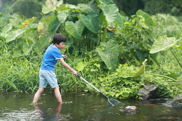 istock Child playing by a stream fishing 1183954267