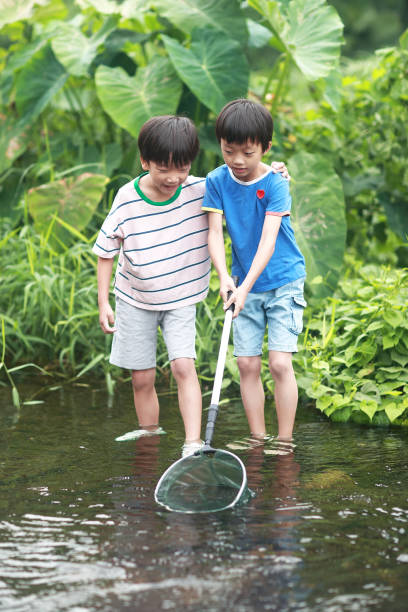istock Child playing by a stream fishing 1183954281