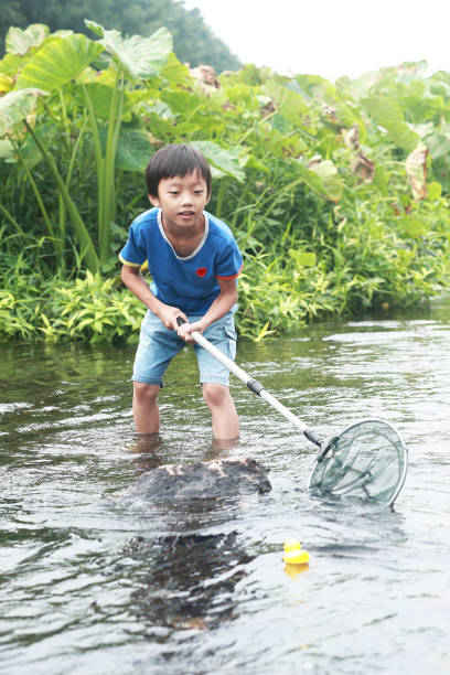 istock Child playing by a stream fishing 1183954842