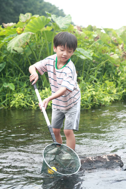 istock Child playing by a stream fishing 1183954969