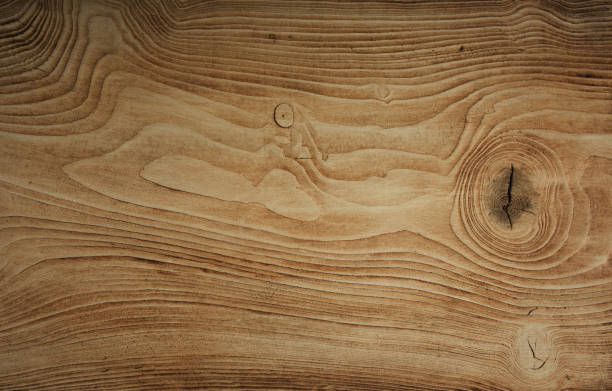 bright shiny wooden surface - knotted wood imagens e fotografias de stock