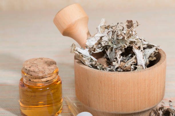 isländische cetraria, heilung gesundes getrocknetes moos in einem holzmörtel, pipette und glas mit tinktur des arzneimittels. alternative medizin, kräutermedizin, heilpflanzen, kräuter. hustenmittel - tea island stock-fotos und bilder