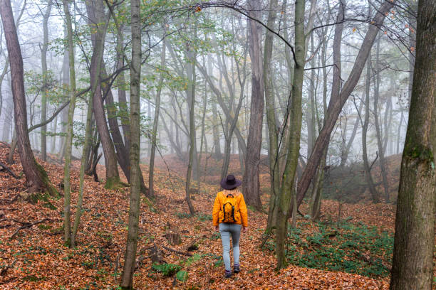 istock Tourist hiking in misty forest. 1183957181