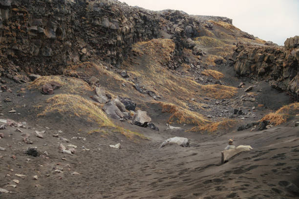 istock Icelandic Nature 1183957969