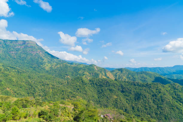 istock Landscape of forest and mountain 1183958951