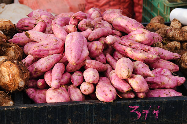 Image of a sweet Potato isolated on white background