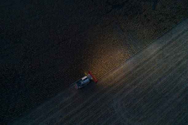 erntesaison. luftaufnahme eines mähdreschers, der die maisernte im agrikultiralfeld nach sonnenuntergang im herbst sammelt. landwirtschaftliche geräte in anbauland. nacht. arbeiten spät. - green crop tractor planting stock-fotos und bilder