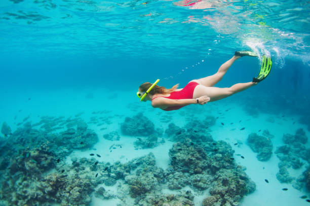 Young woman in snorkeling mask dive underwater with tropical fishes Young happy girl in snorkeling mask jump and dive underwater to see tropical fishes in coral reef sea pool. Travel activity, water sports, outdoor adventure, on family summer beach holiday with kids raro stock pictures, royalty-free photos & images