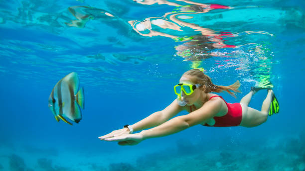 Young woman in snorkeling mask dive underwater with tropical fishes Happy family - active woman in snorkeling mask dive underwater, see tropical fishes in coral reef sea pool. Travel adventure, swimming activity and watersports on summer beach vacation with child. batfish platax stock pictures, royalty-free photos & images