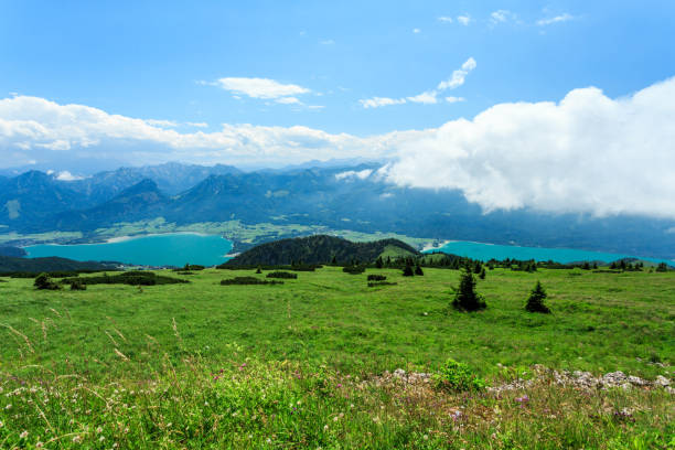 austriacki krajobraz na początku lata - standing water grass area meadow lawn zdjęcia i obrazy z banku zdjęć