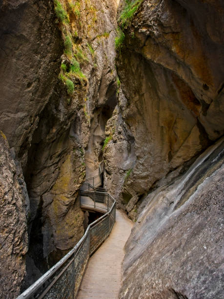 istock Natural Space of Yecla 1183962918