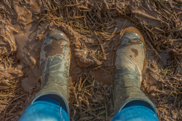 Close Up of Wellington Boots in a Muddy Field Viewed from Above Top View of Muddy Wellington Boots in a Farmer's Field in Scotland boot stock pictures, royalty-free photos & images