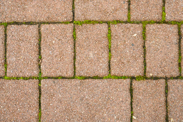 istock background of the old bricks, sprouting moss and grass 1183970099