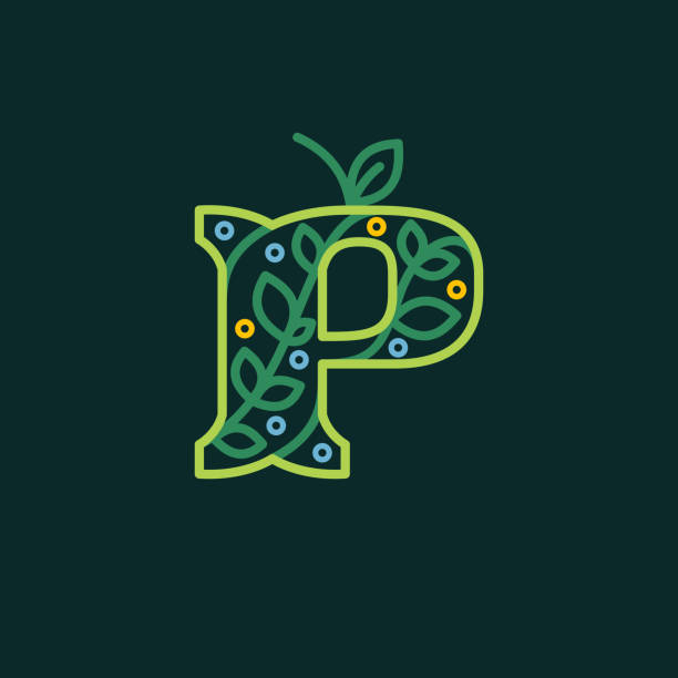 우아한 리니어 레터 p 에코 화려한 로고 타입. - letter p water liquid text stock illustrations