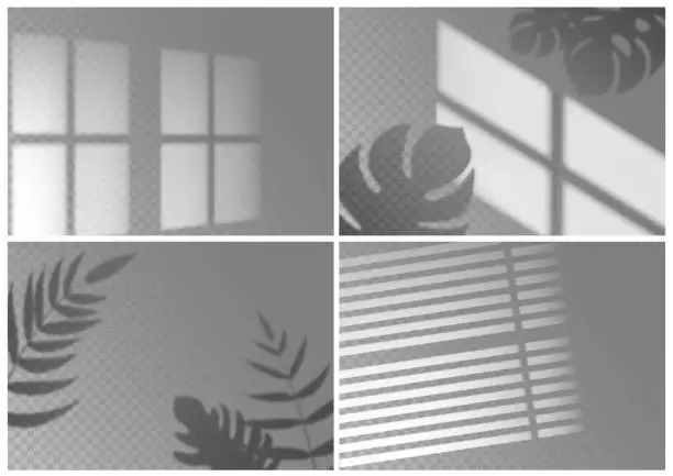 Vector illustration of Realistic shadow overlay. Window light with shadow texture of tropical plant leaves on isolated background. Vector shade overlay mockups