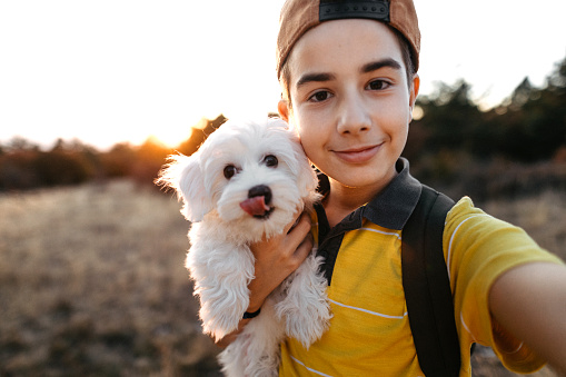 Niño tomando selfie con perro maltés photo