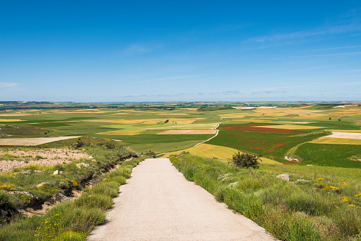 View looking west on the Camino de Santiago from the Alto de Mostelares. To the east (not pictured) is the town of Castrojeriz, Burgos province, Spain. The Alto de Mostelares is the highest peak encountered on the meseta.