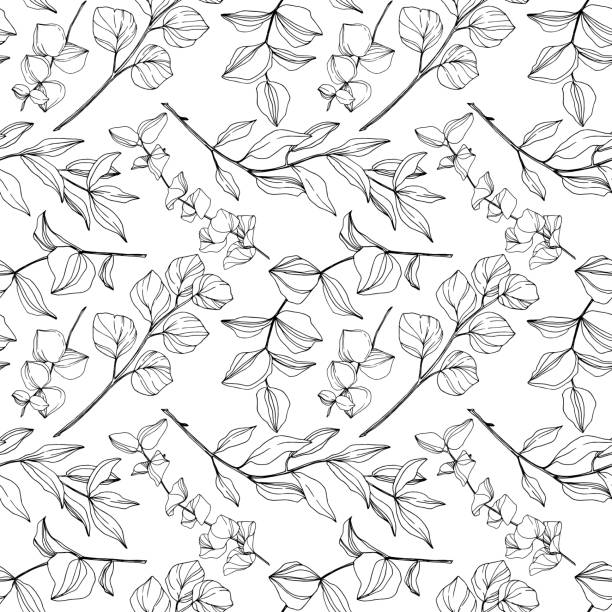 ilustrações de stock, clip art, desenhos animados e ícones de vector eucalyptus tree leaves jungle botanical. black and white engraved ink art. seamless background pattern. - botanical illustration