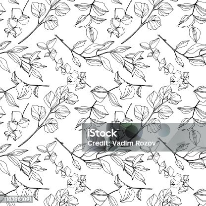 istock Vector Eucalyptus tree leaves jungle botanical. Black and white engraved ink art. Seamless background pattern. 1183981091