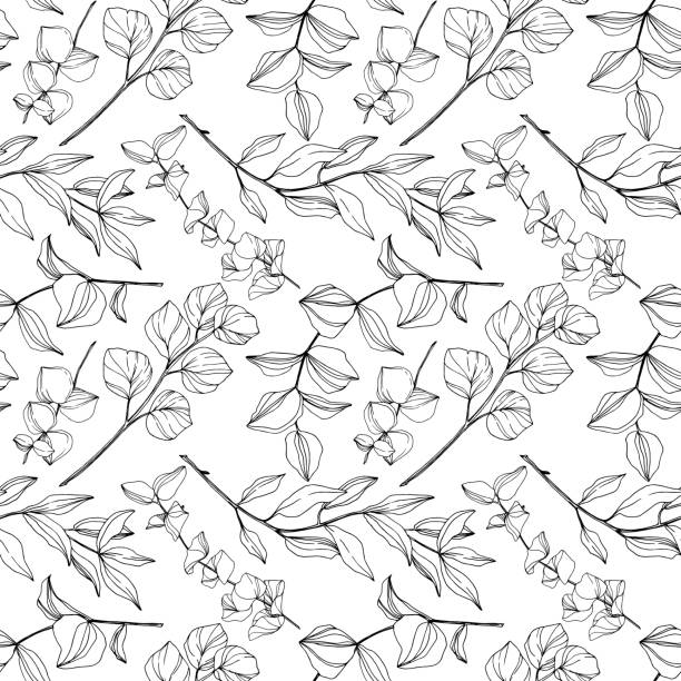 Vector Eucalyptus tree leaves jungle botanical. Black and white engraved ink art. Seamless background pattern. Vector Eucalyptus tree leaves jungle botanical. Black and white engraved ink art. Seamless background pattern. Fabric wallpaper print texture. drawing of the hawaii islands stock illustrations