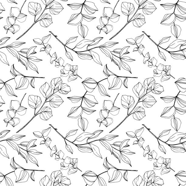 Vector Eucalyptus tree leaves jungle botanical. Black and white engraved ink art. Seamless background pattern. Vector Eucalyptus tree leaves jungle botanical. Black and white engraved ink art. Seamless background pattern. Fabric wallpaper print texture. botany stock illustrations