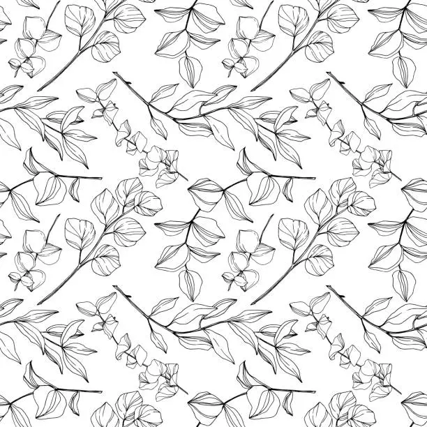 Vector illustration of Vector Eucalyptus tree leaves jungle botanical. Black and white engraved ink art. Seamless background pattern.