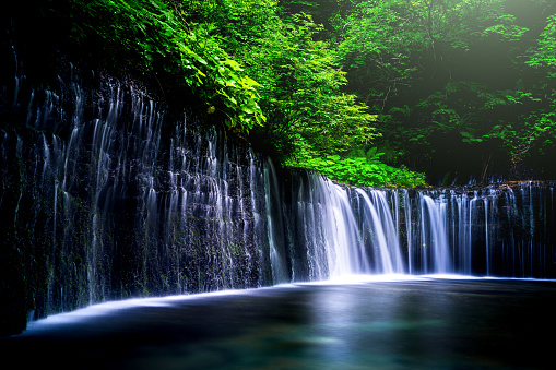 Japan, Karuizawa, Nagano Prefecture, Alternative Therapy, Autumn