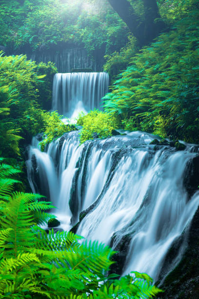 일본 가루이자와의 폭포 - river spring waterfall water 뉴스 사진 이미지