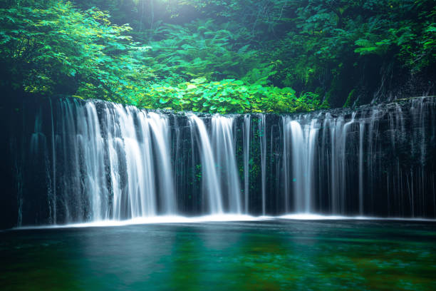 wasserfall in karuizawa, japan - autumn water leaf stream stock-fotos und bilder