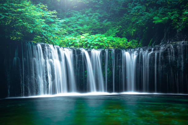 cachoeira em karuizawa, japão - weir - fotografias e filmes do acervo
