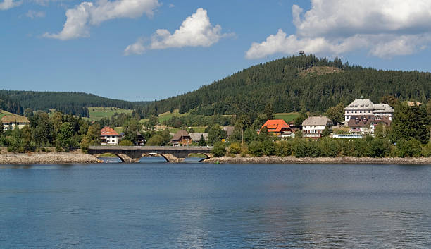 istock Schluchsee in sunny ambiance 118398447